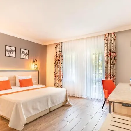 Club Marco Polo - Premium